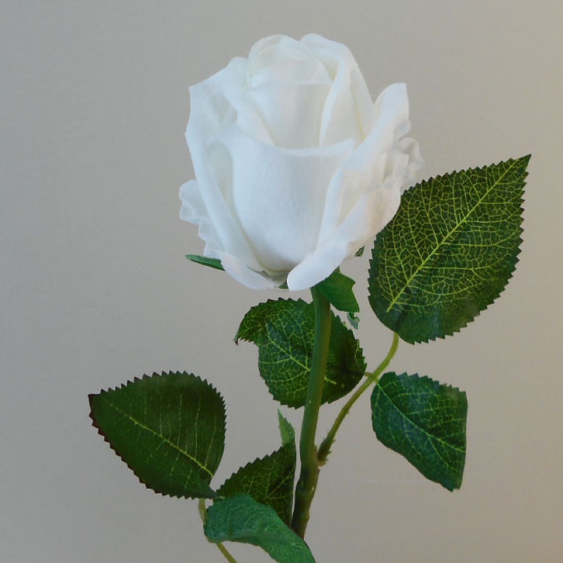 Real Touch Rose Bud Ivory 55cm Artificial Flowers